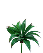 11" Artificial Aloe Bush Foliage S4763-TTG