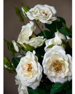 16" Wild Rose Silk Flower Stem S4770-WHT