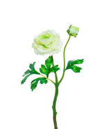 13" Silk Ranunculus Flower Stem Spray S4783
