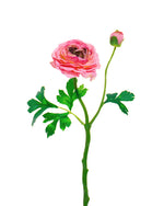 13" Silk Ranunculus Flower Stem Spray S4783