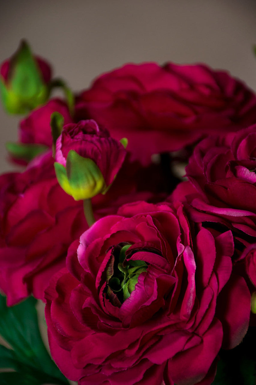 13" Silk Ranunculus Flower Stem Spray S4783