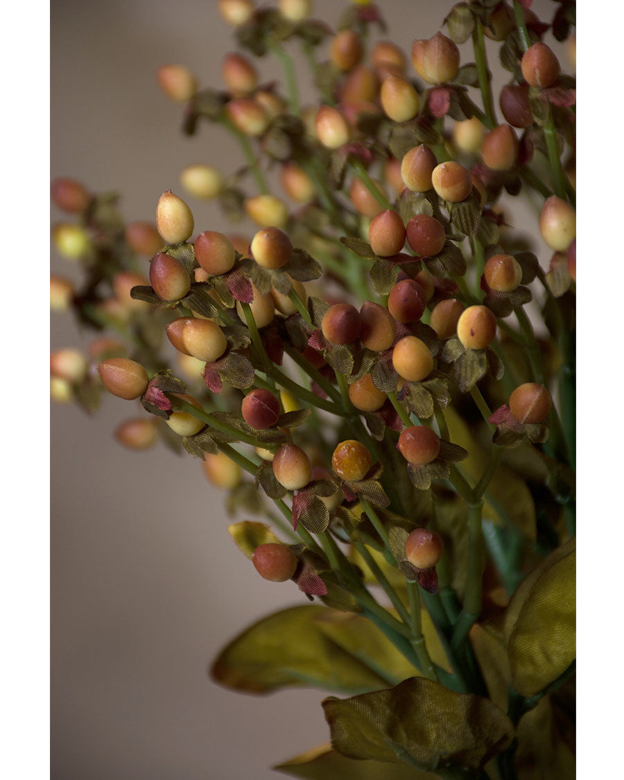 20.5" Faux Hypericum Bud Flower Stem Spray S4825-ORYL