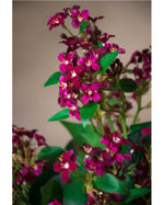 18" Wild Lilac Silk Flower Stem Spray S4897