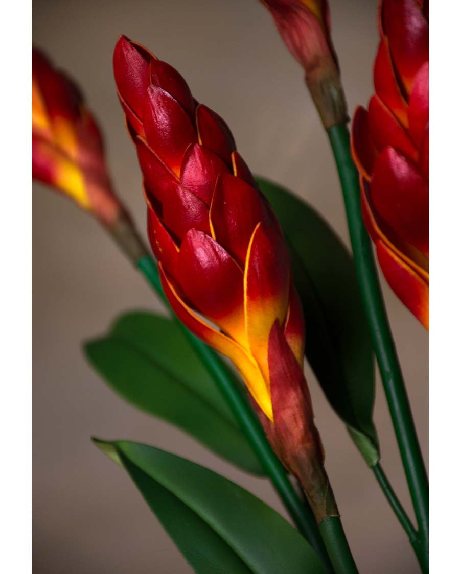31" Artificial Torch Ginger Stem S4900
