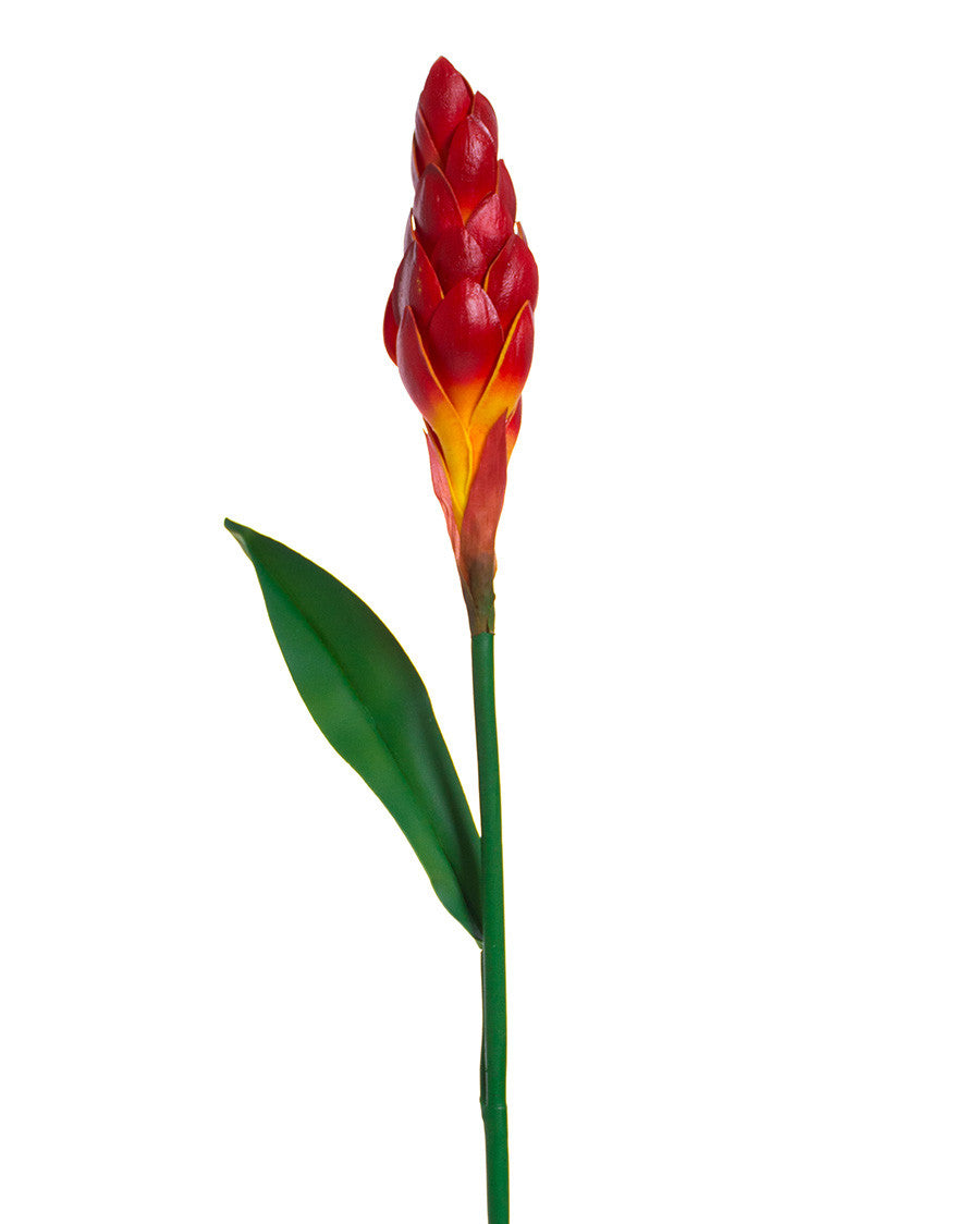 31" Artificial Torch Ginger Stem S4900