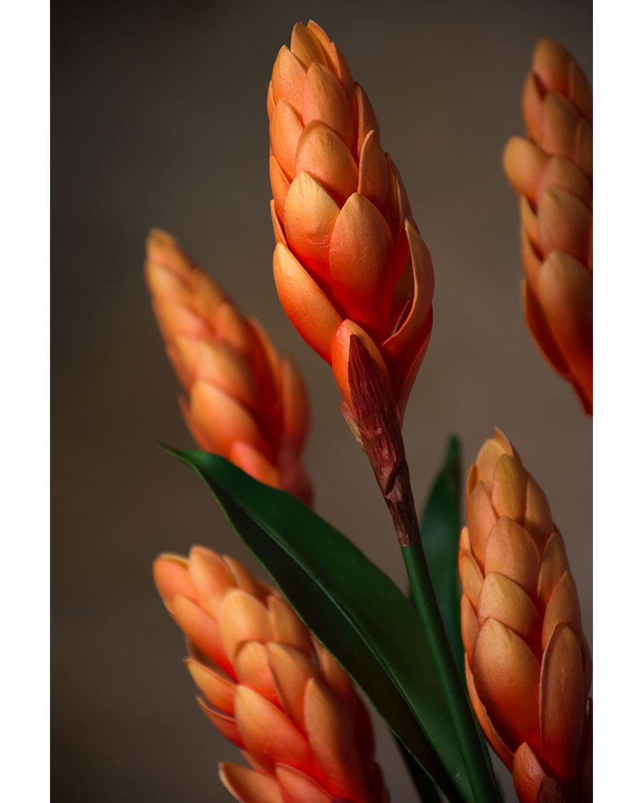 31" Artificial Torch Ginger Stem S4900