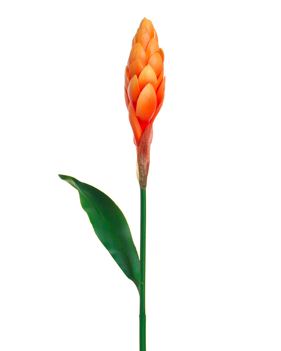 31" Artificial Torch Ginger Stem S4900