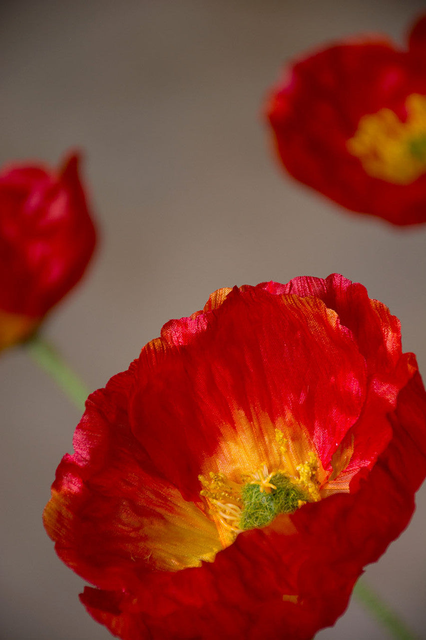 22.5" Poppy Silk Flower Stem S4904