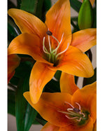 30" Tiger Lily Silk Flower Stem S4905