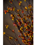 36" Artificial Bittersweet Foliage Stem Spray S4924-REYE