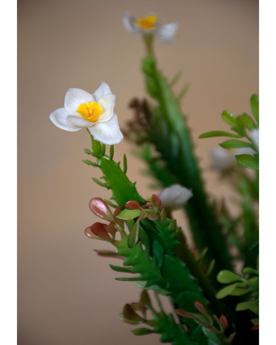 14" Faux Cactus Stem with Flower S4933-GRWH