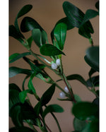 28" Artificial Mistletoe Foliage Spray S4950-CR