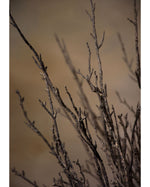 47" Artificial Birch Branch Sticks Bundle S4973-BR