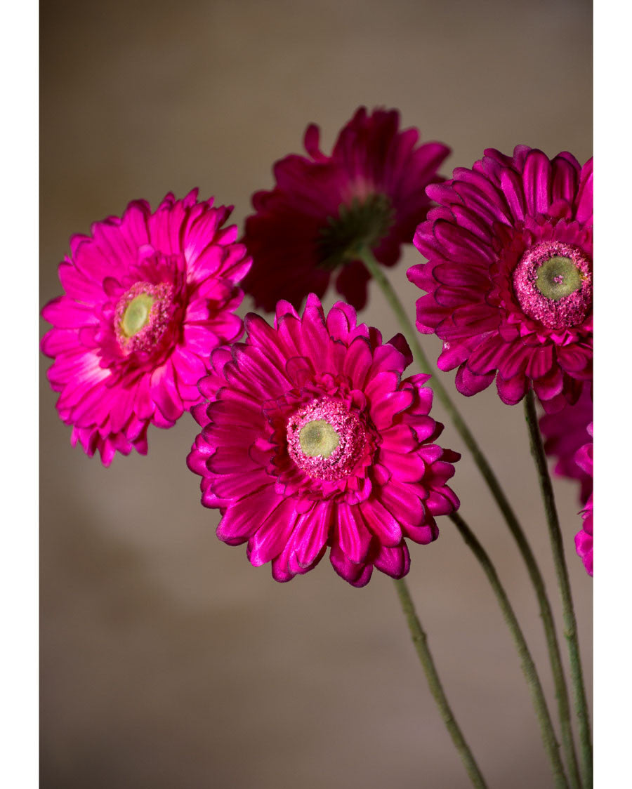 25" Silk Gerbera Daisy Faux Flower Stem S5003