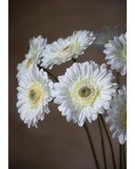 25" Silk Gerbera Daisy Faux Flower Stem S5003