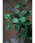 24" Mini Watermelon Pepperomia Faux Foliage Spray S5069-GRCR