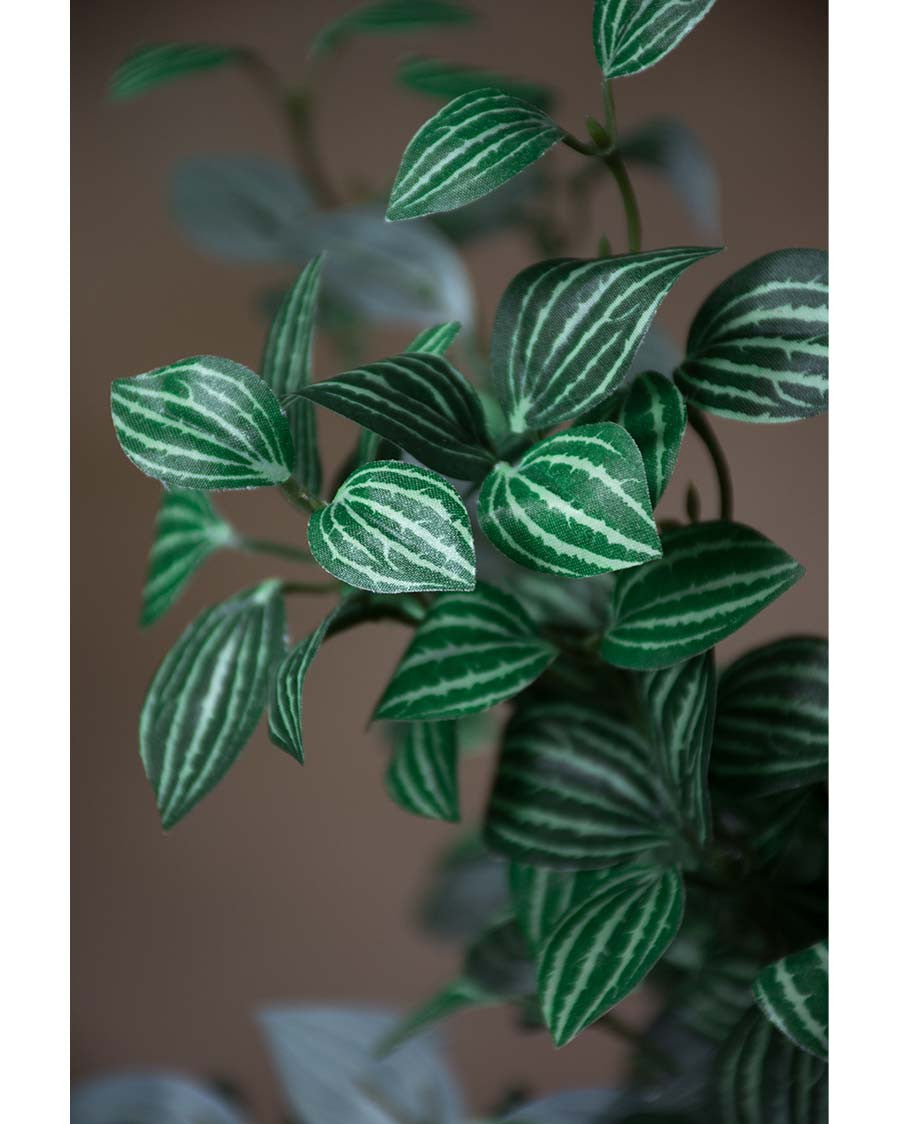 24" Mini Watermelon Pepperomia Faux Foliage Spray S5069-GRCR