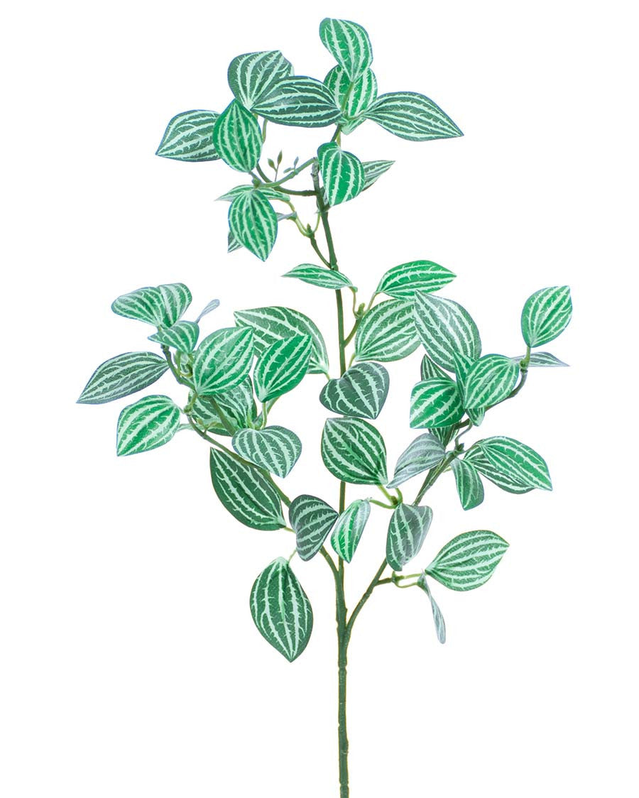 24" Mini Watermelon Pepperomia Faux Foliage Spray S5069-GRCR