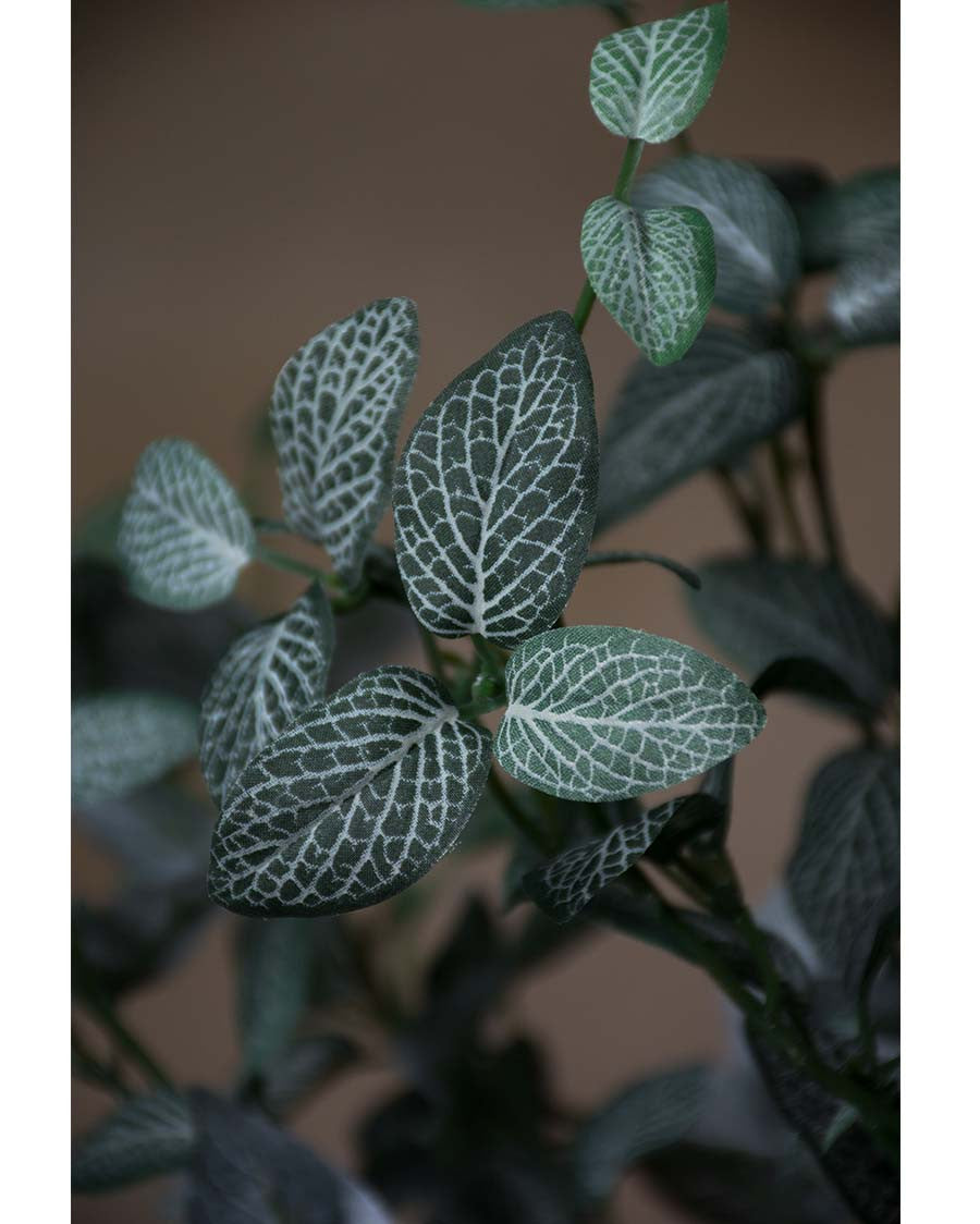 25" Mini Fittonia Artificial Foliage Spray S5070-GRCR