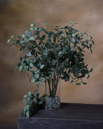 25" Mini Fittonia Artificial Foliage Spray S5070-GRCR