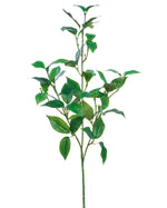 25" Faux Mountain Laurel Foliage Spray S5071-GR