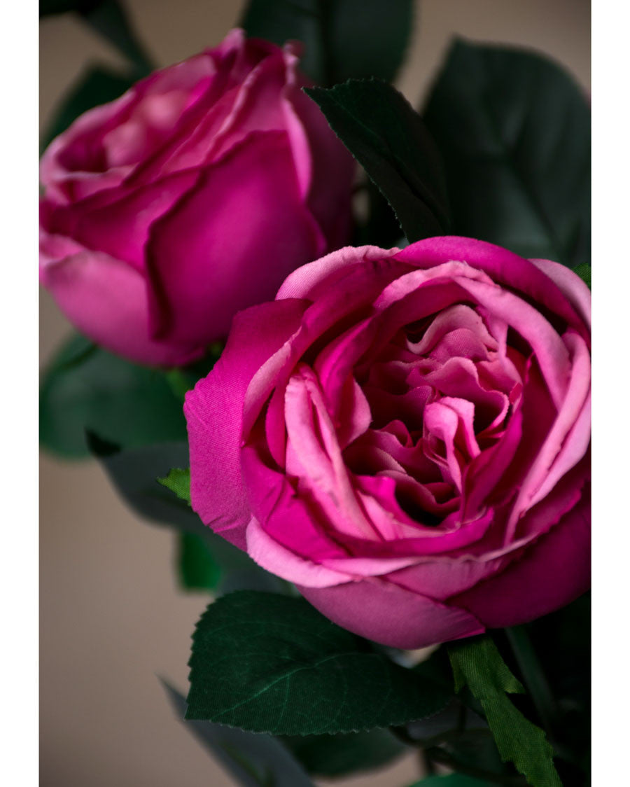 26" Cabbage Rose Silk Flower Stem S5076