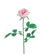 26" Cabbage Rose Silk Flower Stem S5076