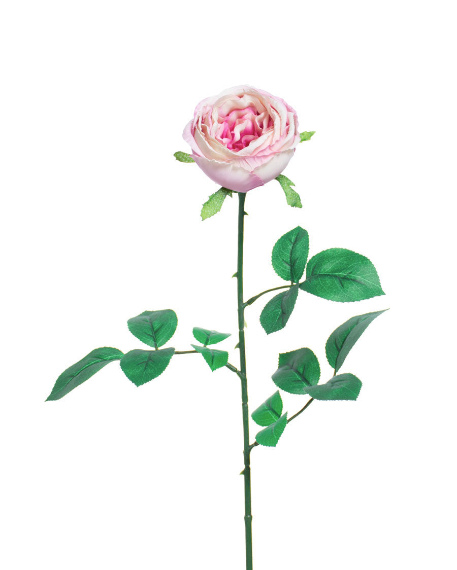 26" Cabbage Rose Silk Flower Stem S5076