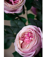 26" Cabbage Rose Silk Flower Stem S5076