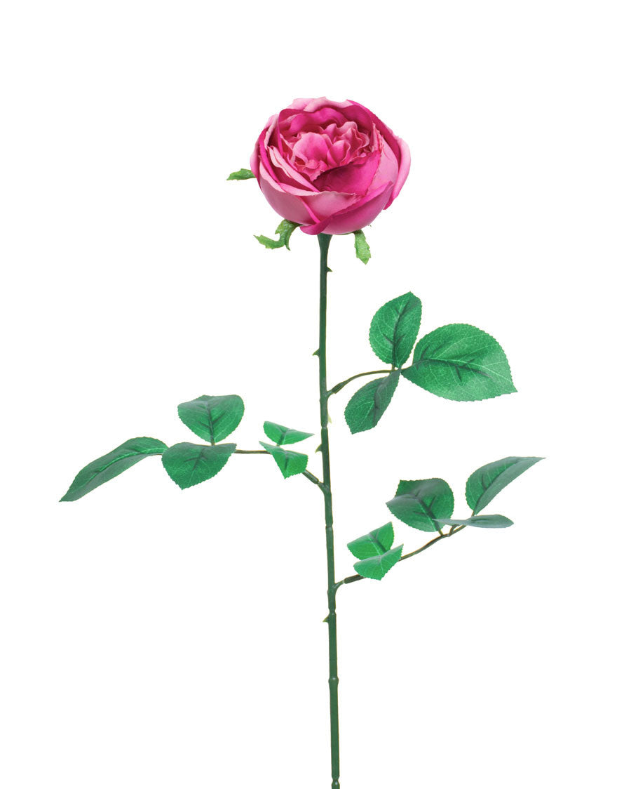26" Cabbage Rose Silk Flower Stem S5076