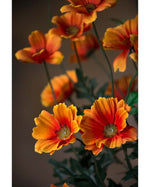 30" Cosmos Silk Flower Stem S5080