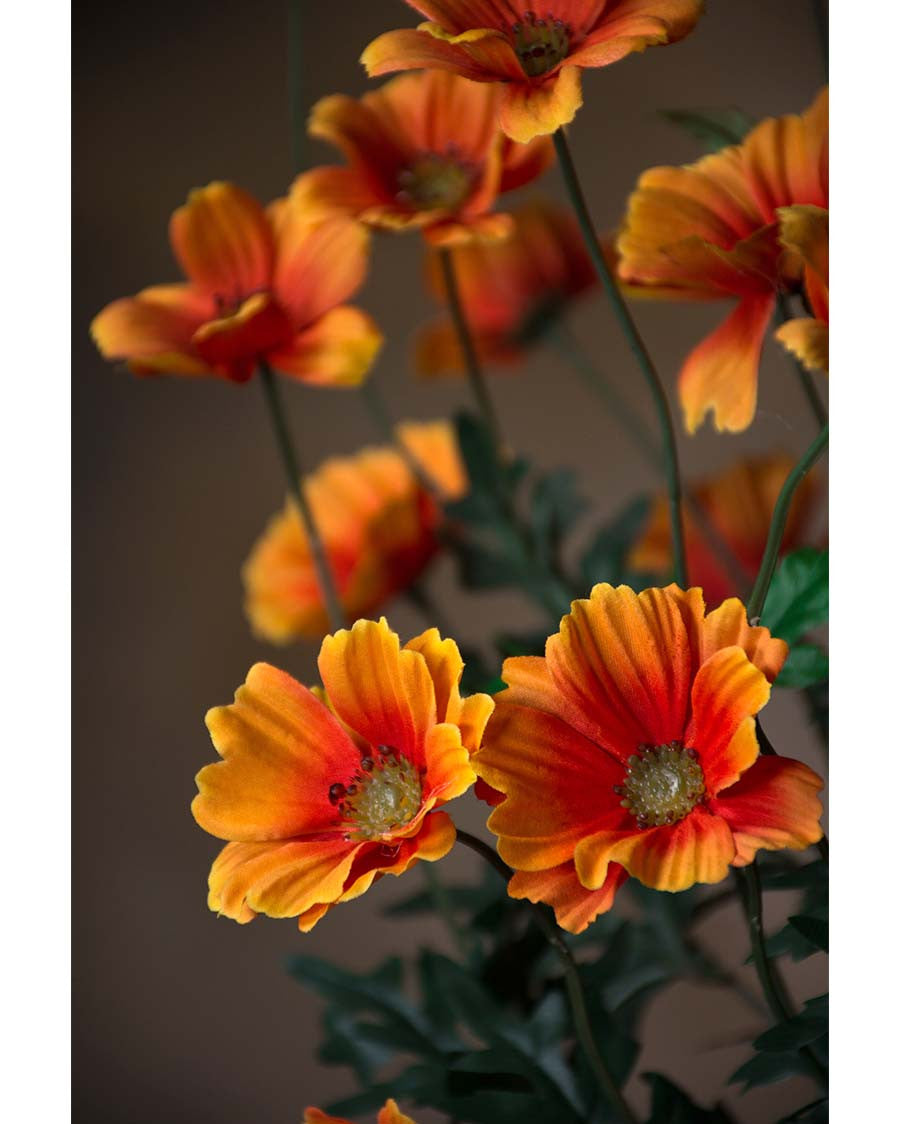30" Cosmos Silk Flower Stem S5080