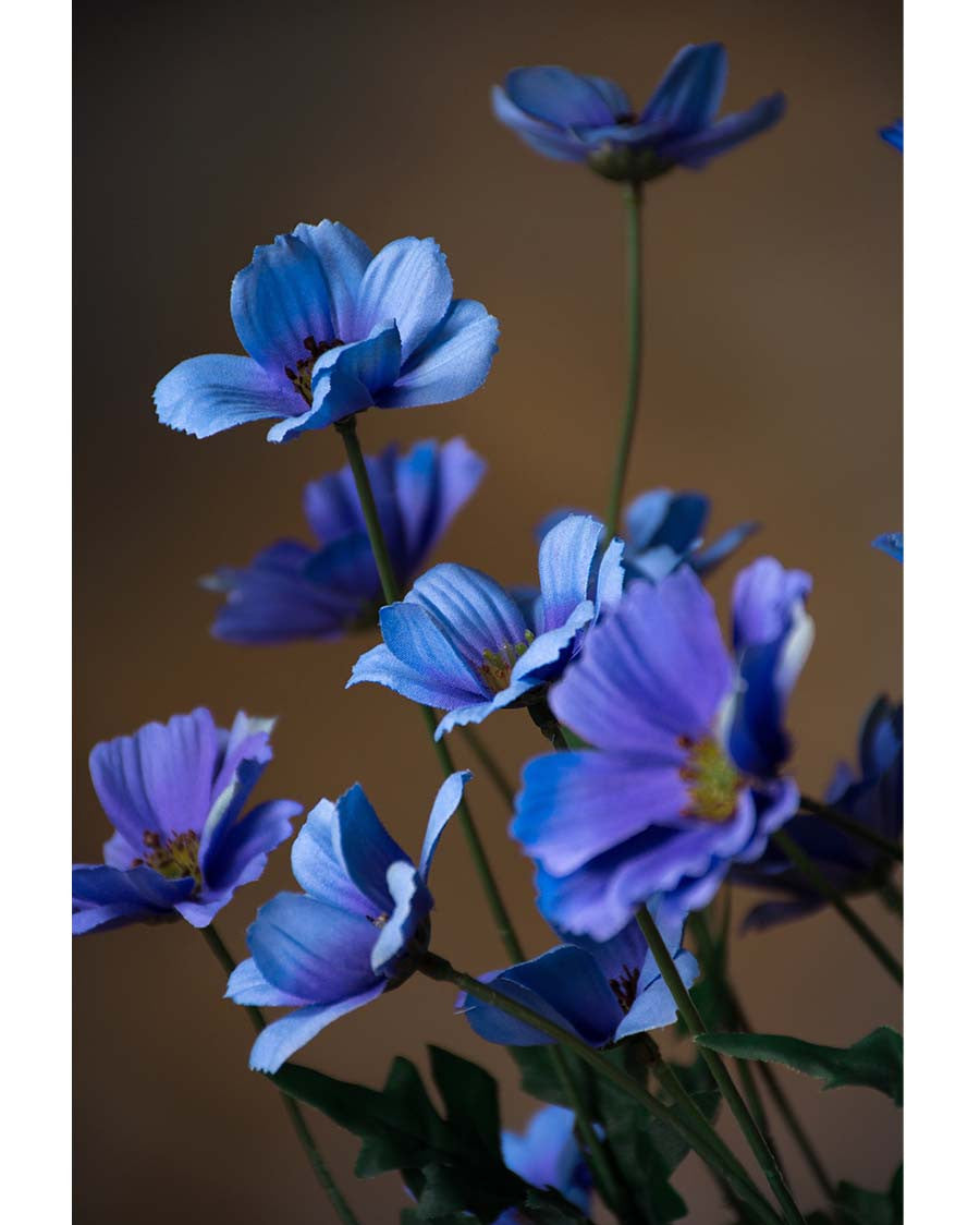 30" Cosmos Silk Flower Stem S5080