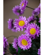 25" Daisy Silk Flower Stem Spray S5081