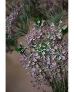 30" Queen Anne's Lace Faux Flower Stem S5082