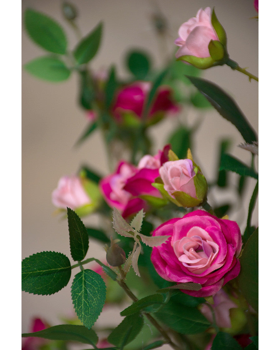 30.5" Rambling Rose Silk Flower Stem Spray S5095