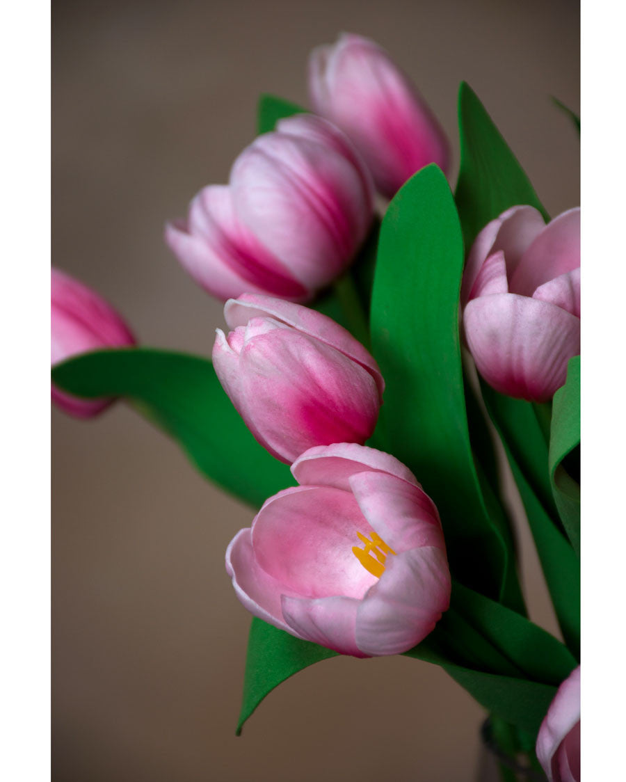 Faux Tulip Bundle S5097