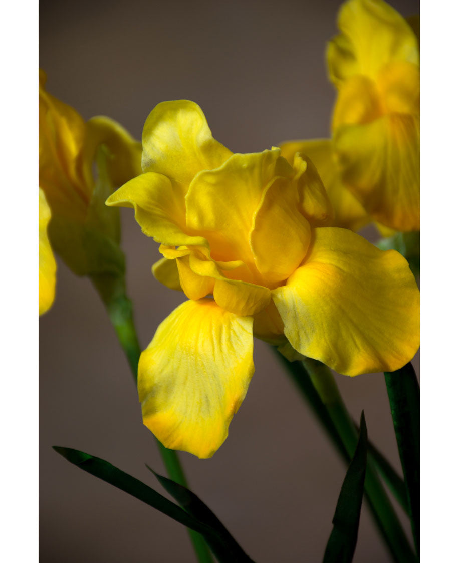 28" Faux Iris Flower Stem S5098