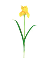 28" Faux Iris Flower Stem S5098