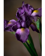 28" Faux Iris Flower Stem S5098