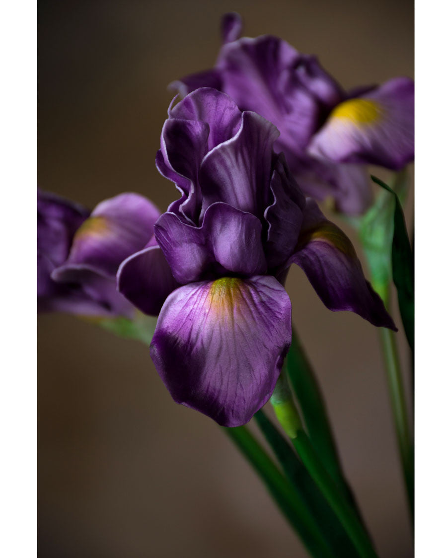 28" Faux Iris Flower Stem S5098