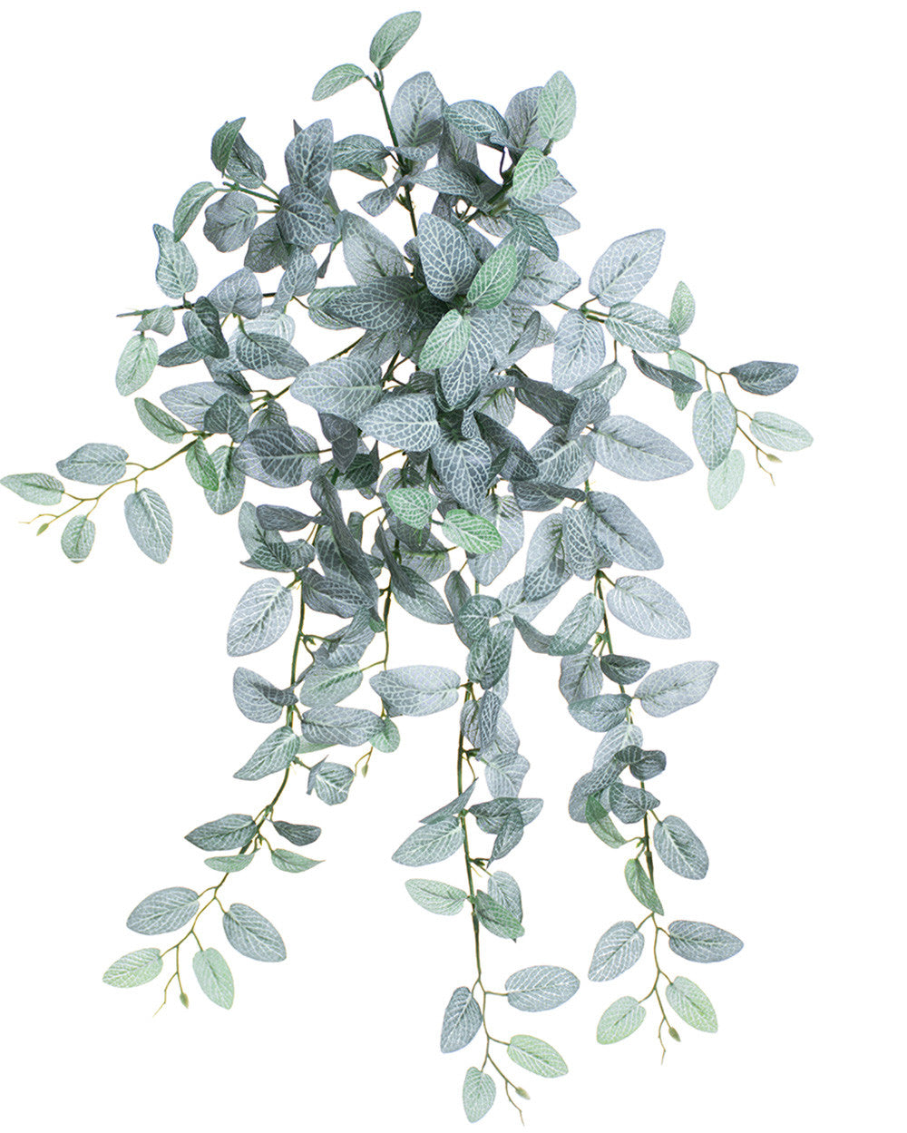 20" Mini Fittonia Artificial Hanging Bush S6016-GRCR