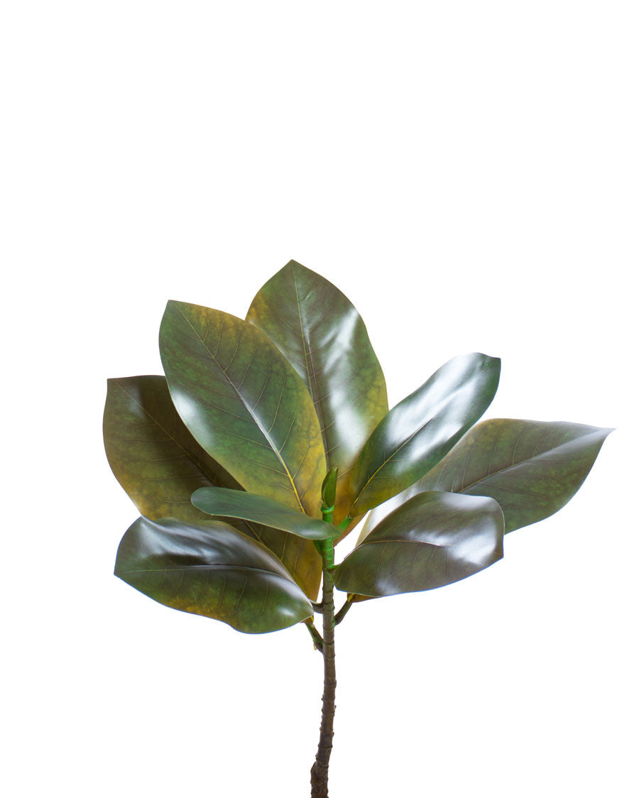 17.5" Artificial Magnolia Leaf Foliage Cluster S6035-GR