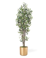6' Greenhouse Silk Ficus Tree TRA220-06