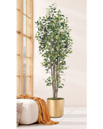 6' Greenhouse Silk Ficus Tree TRA220-06
