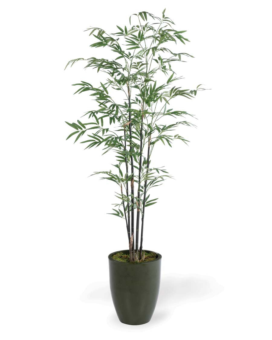 5' Silk Bamboo Tree TRC338-05