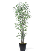 6' Silk Bamboo Tree TRC338-06