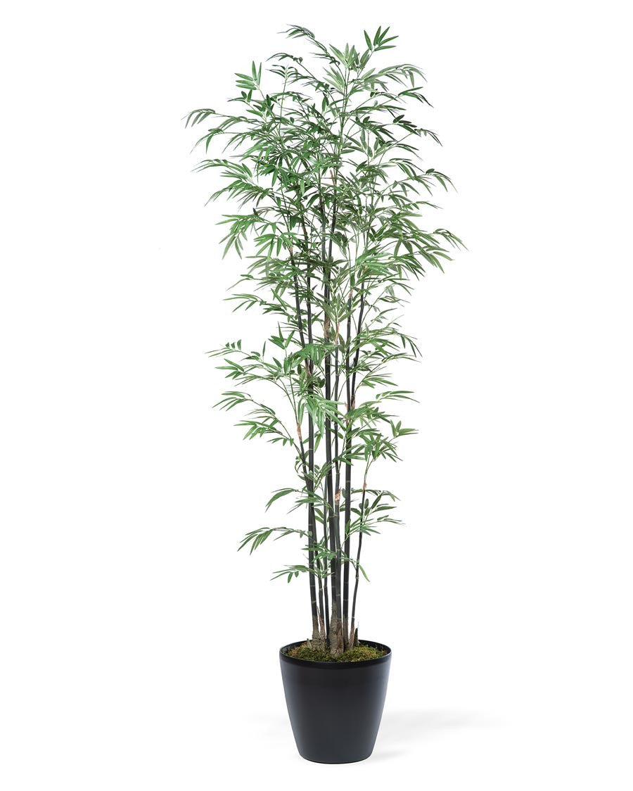 6' Silk Bamboo Tree TRC338-06