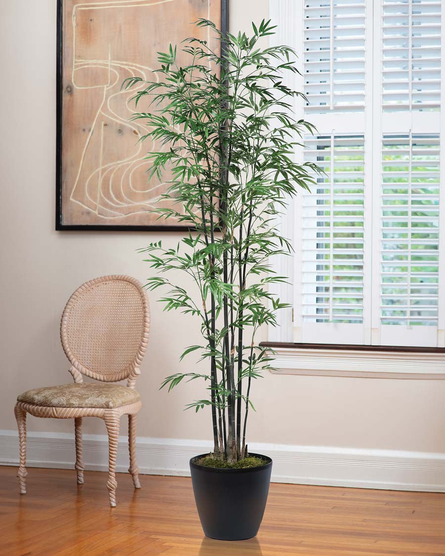 7' Silk Bamboo Tree TRC338-07