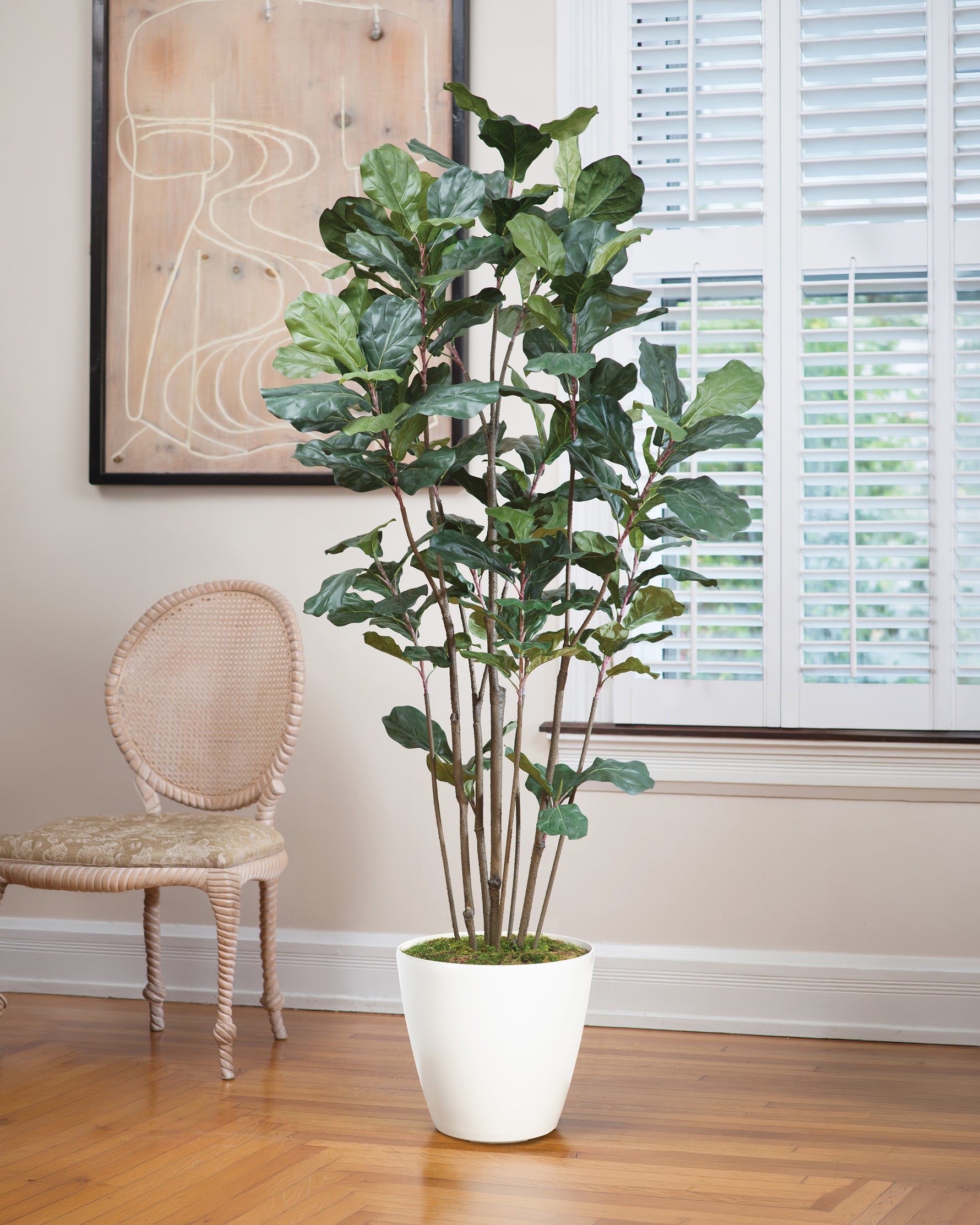 5' Fiddle Leaf Fig Silk Tree shown in our 11"W Satin White Uptown Decorative Container.